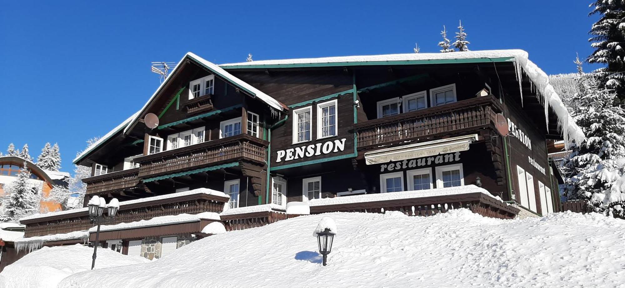 Pension Svycarsky Dum Шпиндлерув-Млин Экстерьер фото